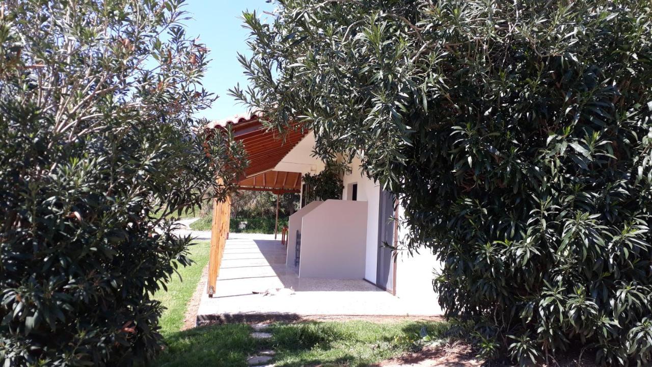 Zefyros Studios Damnoni Esterno foto